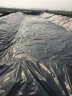 京胡 黑色鱼塘土工膜防尘膜池塘防水布鱼池专用加厚塑料布养殖膜防渗膜 加厚35丝3米宽50米长 实拍图