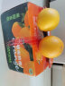 集南鲜 赣南脐橙 江西橙子新鲜现摘水果脐橙时令生鲜水果甜橙 水果礼盒 【精品橙】彩箱5斤（150-220g） 实拍图