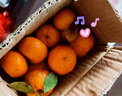 尔蝶广西砂糖橘桔子蜜橘10斤新鲜水果当季薄皮沙糖桔整箱橘子 精选1斤装 净重0.8斤 实拍图