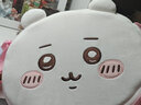 名创优品（MINISO）chiikawa系列斜挎包可爱毛绒斜挎包收纳包手提包化妆包 毛绒斜挎包(Chiikawa) 实拍图