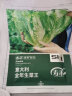 寿禾意大利生菜种子青菜蔬菜种籽 潍育系列意大利全年生菜王种子10g 晒单实拍图