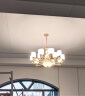 灯尉仕新中式客厅吊灯后现代简约轻奢大气餐厅灯复式楼锌合金中国风灯具 15头-配全光谱三色光源 实拍图
