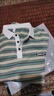 妄潮大码POLO衫短袖t恤男夏季条纹带领翻领时尚潮牌冰丝休闲半袖T 【高质量跑量款】坊R13浅绿 XL 建议体重115-125斤可穿 实拍图