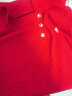 POLOWALK女士绞花针织衫2024夏季新款翻领气质小众知性短袖毛衣 大红 2XL 晒单实拍图