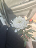 尚都比拉优雅通勤半身裙女装春秋季遮胯显瘦A字裙中长款百搭裙 雅黑色 S  实拍图