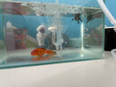 boxtech鱼缸纳米细化器增氧泵打氧机低噪气泡石爆氧养鱼增氧机雾化器气盘 【套餐】BT35气盘+UX3氧气泵 实拍图