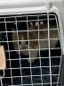 珍宠星球 宠物航空箱猫咪空运包猫笼便携车载猫箱子猫包狗狗托运  大号 实拍图