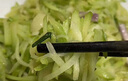 蔬果哆 新鲜蔬菜 云南特产 佛手瓜 嫩瓜 捧瓜窝瓜 2.5kg(一箱五斤) 实拍图