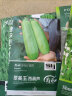 寿禾 四季豆种子无筋架豆豆角蔬菜种籽 潍育系列无筋架豆种子50g 实拍图