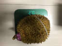 京鲜生 泰国进口金枕头榴莲 2.75-3.25kg 1个装 新鲜水果 晒单实拍图