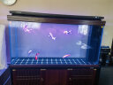 森森（SUNSUN）鱼缸水族箱生态造景玻璃底滤大型鱼缸客厅 超白隔断1.5米长42cm宽(双色可选)带礼包 晒单实拍图