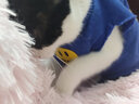 乐卡利 猫咪宠物衣服服饰潮牌秋冬小奶猫防掉毛笑脸卫衣猫猫秋衣秋冬 猫咪衣服【蓝色 XL】 实拍图