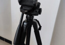 SOMITA闪拓 ST-666 相机三脚架单反便携专业三角架三维云台手机三脚架摄影支架手机直播支架户外微单拍照 实拍图