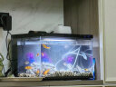 小米米家智能鱼缸小型客厅办公室桌面一键换水远程喂食超白玻璃生态缸 小米鱼缸+加热棒+青龙石+增氧泵 实拍图