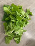 勇冠吡虫啉杀虫剂盆栽花卉草多肉土壤拌土地上地下害虫杀虫防虫小白药 实拍图