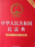 中华人民共和国民法典（大字版 含新司法解释）正版:法律条文·司法解释·典型案例 实拍图