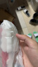 BEMEGA英国防摔双层玻璃杯打不碎男女士大容量便携泡茶杯茶水分离水杯子 睿智蓝（茶水分离 防摔） 400ml 实拍图