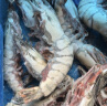 1号会员店泰国活冻黑虎虾斑节对虾烧烤大虾海鲜水产净重1kg21-30只 晒单实拍图