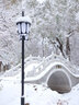 尼康（Nikon） 尼克尔 Z卡口镜头 尼康Z系列微单相机镜头 Z20mm f/1.8 S广角定焦镜头 标配 实拍图