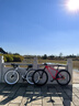 SPECIALIZED闪电 EPIC HT 碳纤维车架碟刹越野硬尾减震山地骑行自行车 火焰红/白色 M 实拍图