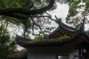 尼康（Nikon）Z 35mm f/1.4【全国可用消费券】全画幅广角定焦镜头大光圈人像扫街 微单适用 尼康Z卡口 实拍图