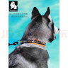 TRUELOVE狗狗项圈小中大型犬脖圈防勒泰迪金毛透气舒适反光宠物脖圈狗圈 桔色（不含牵引绳） 2XL【55-60cm】-建议30-42kg选择 实拍图