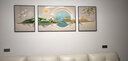 Sixpoetry 客厅装饰画现代简约沙发背景墙壁画轻奢三联晶瓷画大气高档挂画 福禄生机（铝合金外框） 镶钻画左右60*80+中间120*80亮面 实拍图
