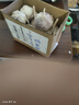 食尚半岛山东金乡鱼台大蒜多瓣祘头蒜种当季农家自种干蒜新鲜蔬菜紫皮批发 精品大蒜【中果】1斤 实拍图