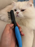 船记台湾船记宠物开结刀狗底毛耙除废毛梳子猫耙梳 开结梳DL175-1 实拍图