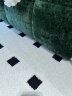 妍品堂地毯清洁神器洗地毯专用清洗剂羊毛地毯清理免水洗地垫去污干洗剂 500ml 1瓶 实拍图