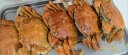 【活蟹】蟹爵大闸蟹六月黄1.8-2.1两12只 鲜活螃蟹现货生鲜水产 实拍图