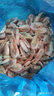卖鱼七郎北极甜虾头籽 夜宵 元宝虾腹籽满籽礼盒装北极冰虾熟冻海鲜生鲜 黄腹籽90-120规格 4斤(净重) 实拍图
