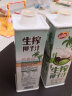 品香园生榨椰子汁1L装海南特产植物蛋白椰奶年货 1升装1瓶（喜庆款） 实拍图