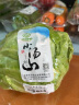 小汤山 北京 圆白菜 500g 基地直供新鲜蔬菜 实拍图