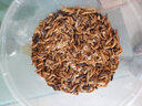 泷戈面包虫活体大麦虫乌龟蜥蜴仓鼠蝎子蜘蛛八哥鸟守宫鱼饵鱼活体饲料 2-3cm2000条(送镊子饲料) 实拍图
