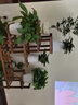 华观家居（Home Giving Furniture）可移动手推花架实木多层落地式花盆架子木质盆景阳台客厅室内多肉 加强款碳色中号带轮 实拍图