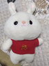 婴果小岛小兔子玩偶布娃娃圣诞节礼物生日送女朋友女孩子儿童毛绒玩具公仔 红毛衣（福）带小包【35cm】 实拍图