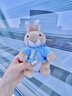 比得兔（Peter Rabbit）英国经典童话挂件钥匙扣彼得兔毛绒玩具娃娃兔子玩偶挂件生日礼物 比得兔挂件 15厘米 实拍图