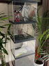 蔻丝（ColesHome）手办展示柜模型玩具收纳架陈列柜透明家用盲盒展示架 实拍图