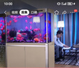 森森（SUNSUN）鱼缸水族箱客厅免换水风水家用金鱼缸 1米长 34.6cm宽 时尚底滤(黑白灰可选) 实拍图