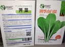 昂启蔬菜种子四季播盆栽阳台庭院香菜生菜菠菜小葱简单秋易种籽孑大全 四季小白菜 约1100粒 实拍图