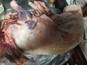咏华春【官方严选】全羊内蒙古草原散养羔羊肉羊腿整羊后腿肉烤全羊团购 全羊20斤（送礼优选） 实拍图