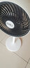 扬子电风扇空气循环扇智能语音风扇家用卧室客厅大风量落地扇台扇两用轻音摇头杨子循环扇循环风扇制冷 三米线+大电机遥控大头款（自动摇头） 实拍图