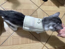 加仕高猫咪牵引绳猫绳子宠物用品防挣脱背心式溜猫猫咪外出遛猫绳子S 实拍图