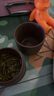 藏壶天下便携式旅行茶具套装紫砂杯功夫户外随身泡茶杯家用简易茶具快客杯 紫泥款 实拍图
