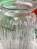 极度空间 玻璃花瓶插花瓶绿植物水培养生态瓶养花容器家居装饰摆件  实拍图