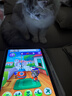 Apple/苹果 iPad11英寸 A16芯片2025年款 平板电脑 (128GB WLAN版/学习办公娱乐)粉色 实拍图