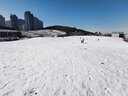 领利豪儿童滑雪板滑雪车 雪爬犁滑沙板滑板车雪橇车冰车滑冰车 红色【儿童款】 实拍图