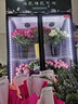 煦雪 鲜花保鲜柜花店冷藏风冷无霜立式花艺花柜鲜花店商用节能高端展示柜冰箱冰柜 双门黑色鲜花保鲜柜 实拍图