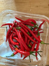 新鲜现摘小米辣美食辣椒朝天椒商超品质 500g（特价） 实拍图